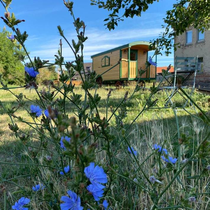 Ferienhaus für 2 Personen, mit Garten in Mücheln (Geiseltal)
