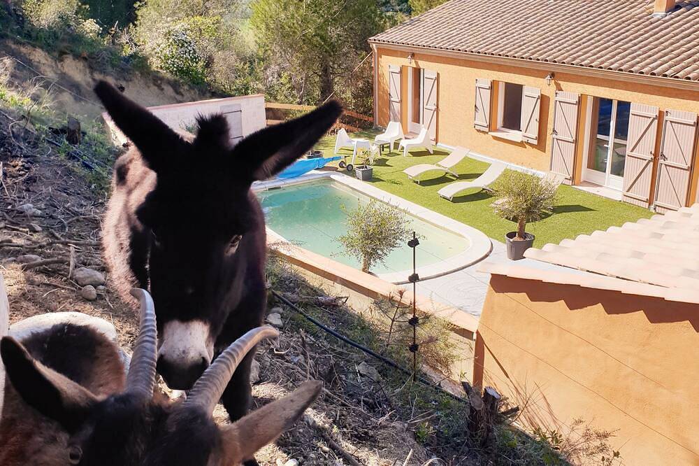Apartment \"Mauzac\" on the heights of Limoux in Cournanel, Limoux region