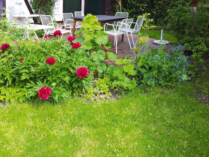 Bauernhof für 14 Personen, mit Terrasse und Sauna in Mecklenburgische Seenplatte - 4