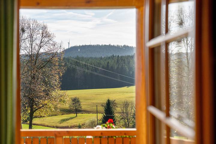 Ferienhaus für 5 Personen, mit Balkon und Garten in Mittlerer Schwarzwald - 2