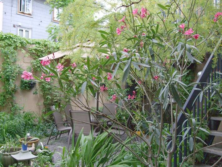 Chambre d’hôte pour 2 personnes, avec terrasse dans Québec - 4