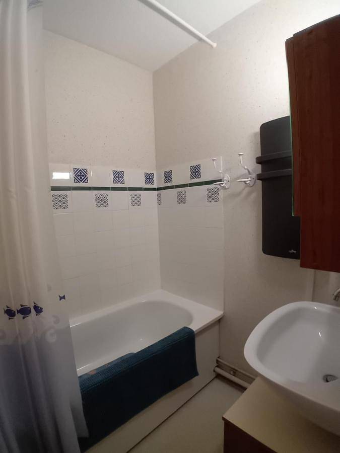 Gîte pour 2 personnes, avec vue et terrasse, animaux acceptés à Aulus-les-Bains - 4