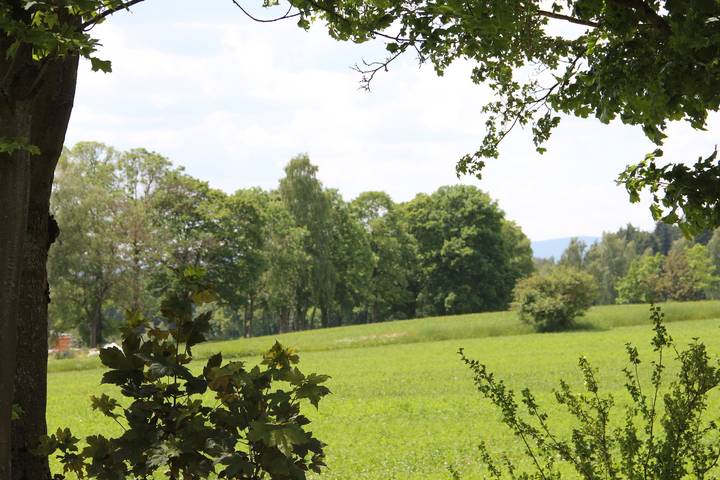 Bauernhof für 5 Personen, mit Garten, kinderfreundlich in Oberfranken - 4
