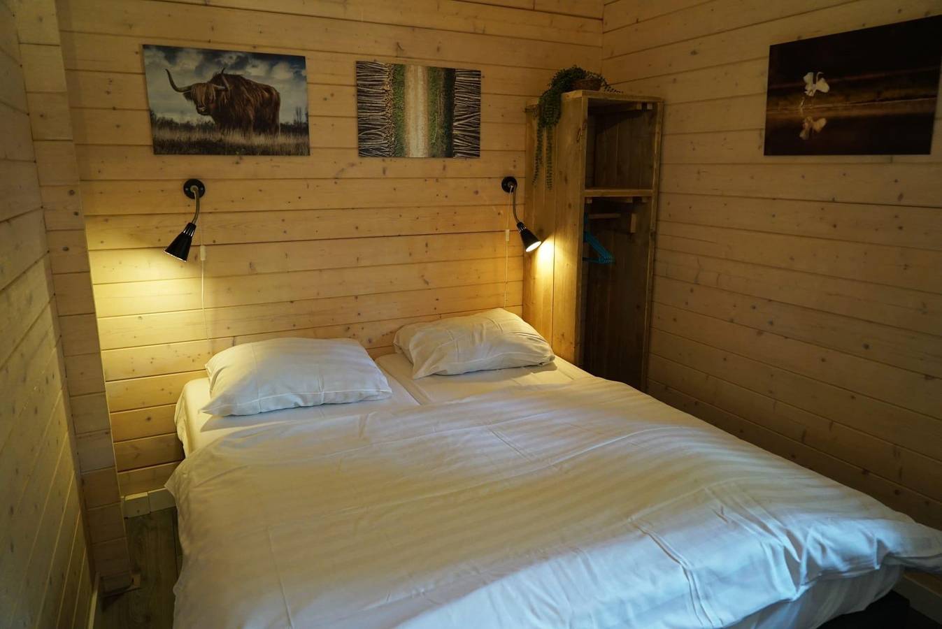 Europarcs Ruinen — Drentse kap 4 in Ruinen, Nationalpark Dwingelderveld