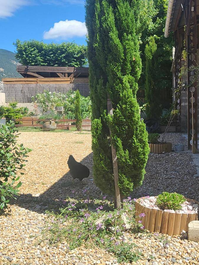 Gîte pour 2 personnes, avec piscine ainsi que vue et jardin à Saint-Pantaléon-les-Vignes - 2