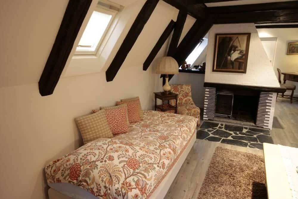 Apartamento entero, Apartamento duplex para 4 personas en el centro de Kaysersberg in Kaysersberg, Parque natural regional de los Ballons des Vosges