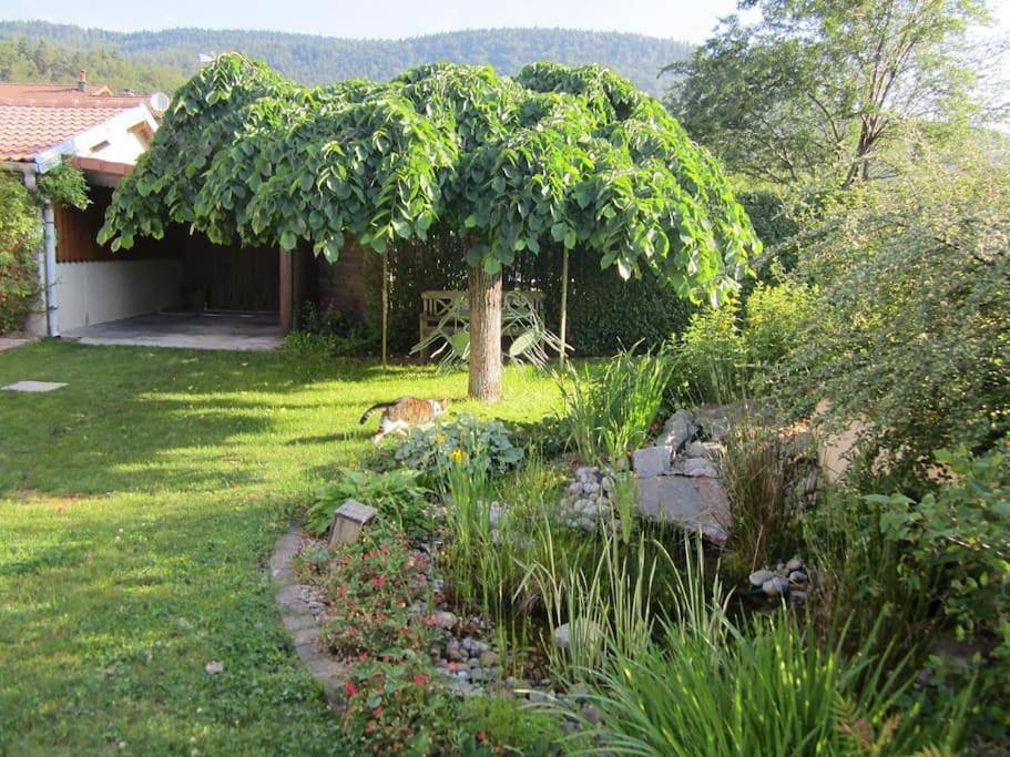 Two-Bedroom House in Saint-Amé, Région d'Épinal