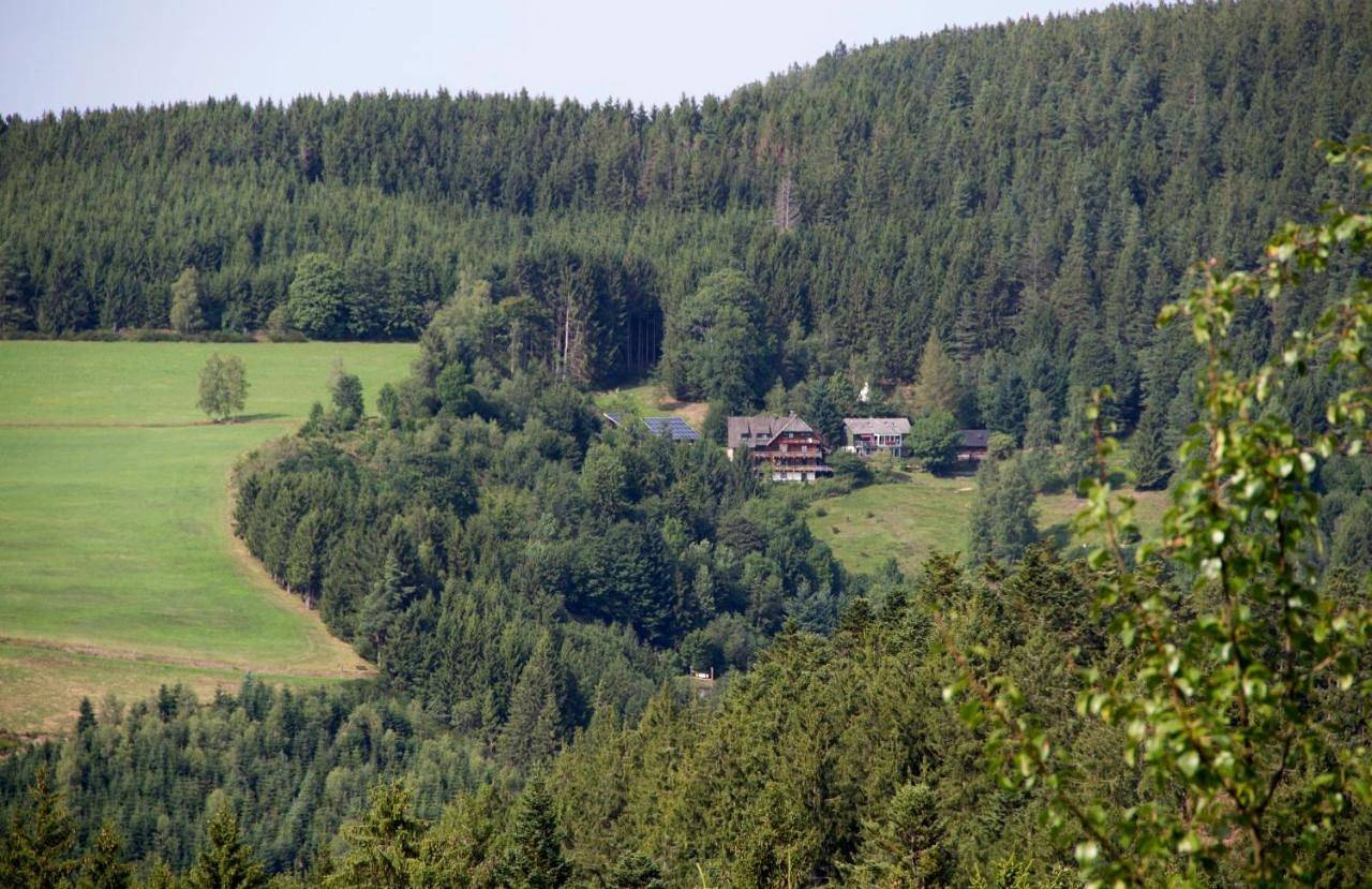 Ganze Wohnung, Gibbesbachhof Black Forest Apartments in Triberg, Mittlerer Schwarzwald