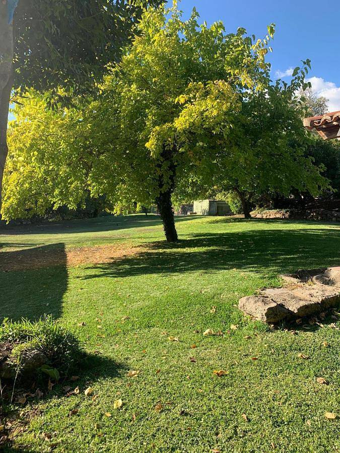 Gîte pour 2 personnes, avec vue sur le lac et piscine ainsi que vue et jardin, animaux acceptés à Candeleda - 2