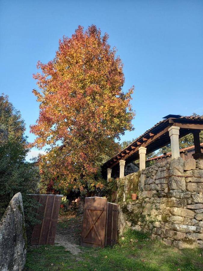 Casa rural para 2 personas, con vistas además de jardín y piscina en Provincia de Pontevedra - 3