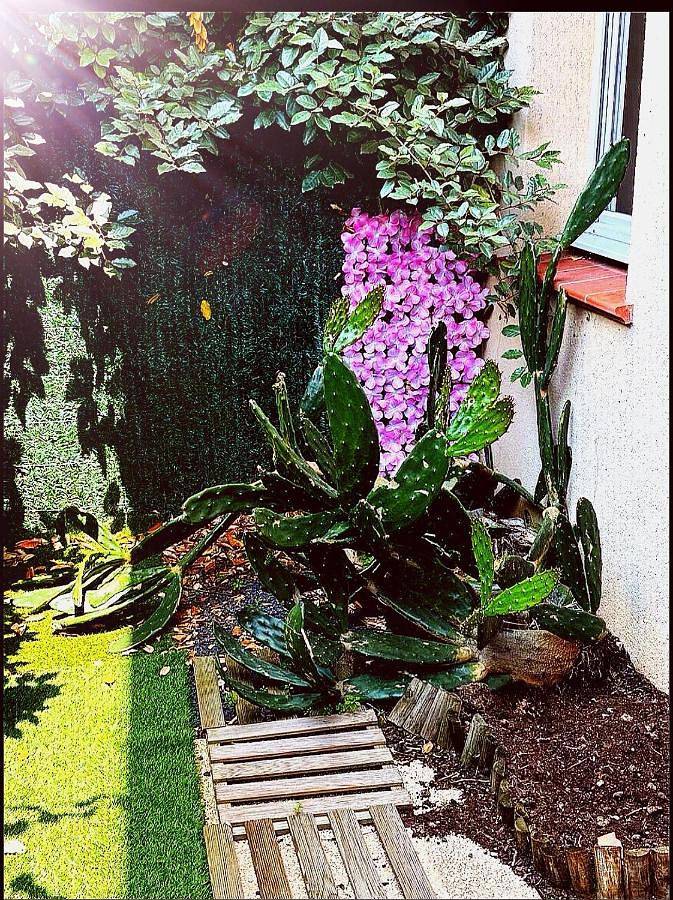 Gîte pour 4 personnes, avec terrasse et vue ainsi que piscine et jardin, animaux acceptés à Saint-Jory - 3