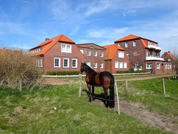 Ferienhaus für 2 Personen, mit Haustier auf Juist