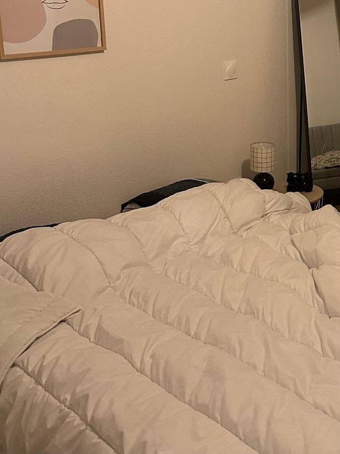 Gîte pour 3 personnes, animaux acceptés à Beynost - 3