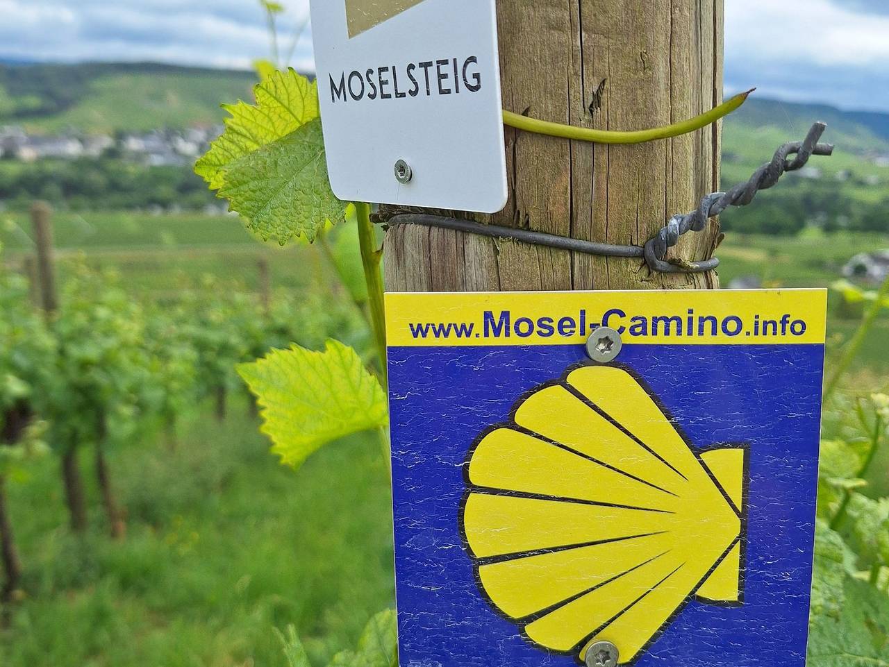 Ganze Ferienwohnung, Auszeitraum - Auszeitraum in Osann-Monzel, Bernkastel-Kues & Umgebung