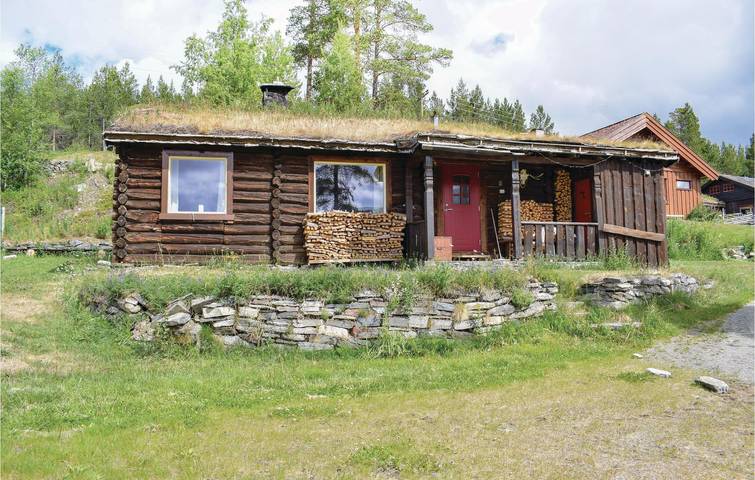 Ferienhaus für 5 Personen in Skogbygda, Jotunheimen