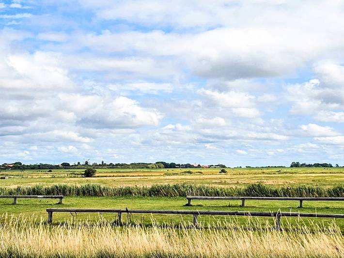 Ferienhaus für 2 Personen, mit Terrasse und Pool, mit Haustier in Højer - 2