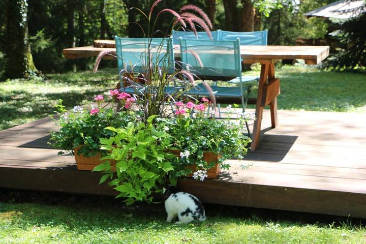 Gîte pour 2 personnes, avec jacuzzi ainsi que jardin et sauna à Thionville - 4