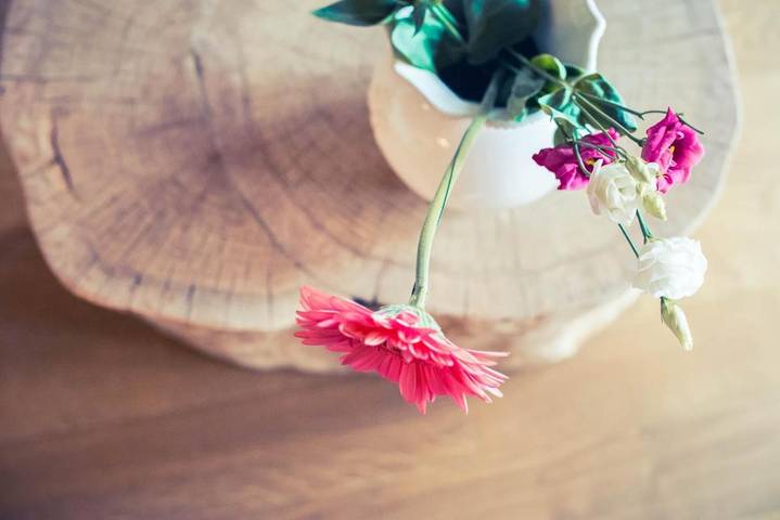 Chambre d’hôte pour 2 personnes, avec jacuzzi ainsi que jardin et sauna dans l' Aube - 3