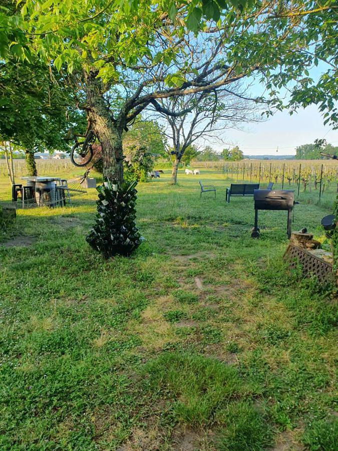 Gîte pour 5 personnes, avec jardin et vue à Saint-Sulpice-de-Faleyrens - 3
