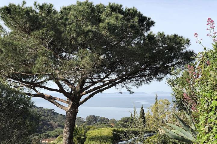 Holiday home for 5 people, with terrace - 1