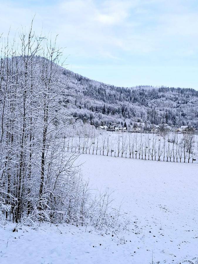 Cały apartament, Apartamenty Chilldziówka w Miłkowie z sauną i z grillem Karpacz in Miłków, Sudety (Polska)