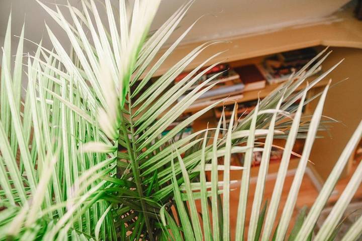 Chambre d’hôte pour 2 personnes, avec vue et jardin dans Canada - 2