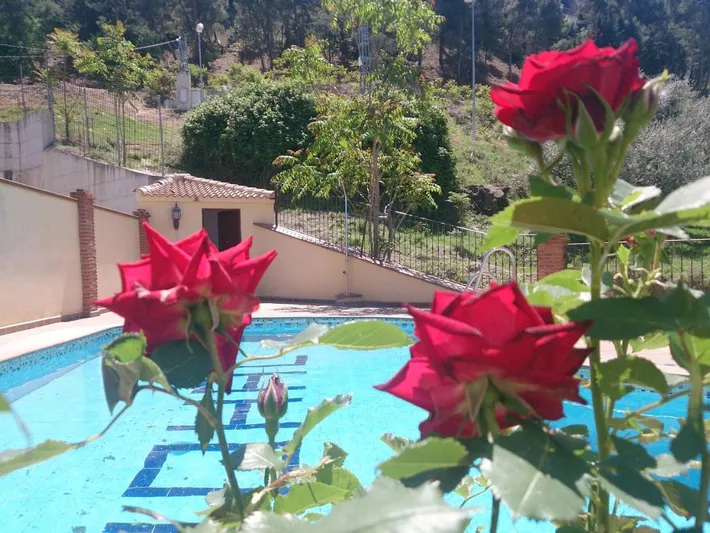 Holiday apartment for 5 people, with pool and sauna as well as garden and view, with pets - 1