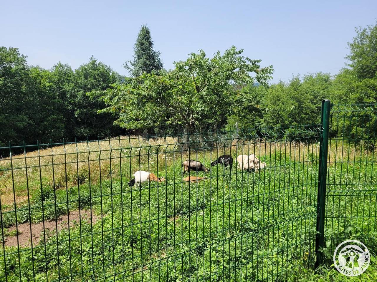 Gîte für 2 Personen mit Terrasse in Aubazines, Brive-la-Gaillarde und Umgebung
