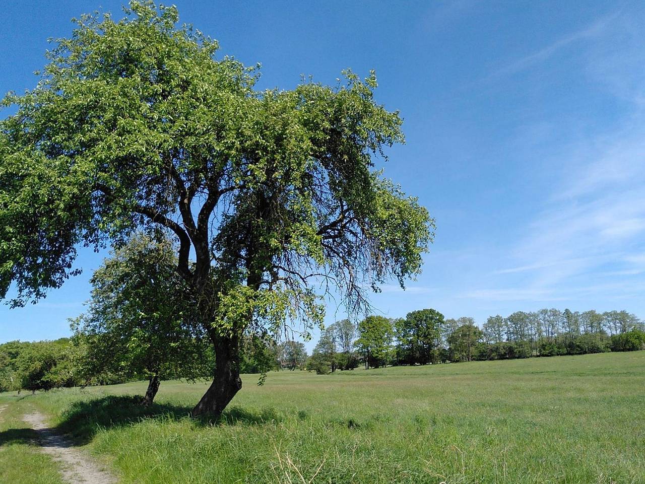 Ganze Ferienwohnung, Ferienwohnung zur Pferdekoppel - Ferienwohnung in Rubkow, Vorpommern
