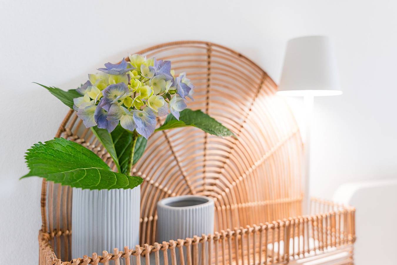 Entire apartment, Casa Museu da Geada - Rural Hotel in Cinfães, Viseu District