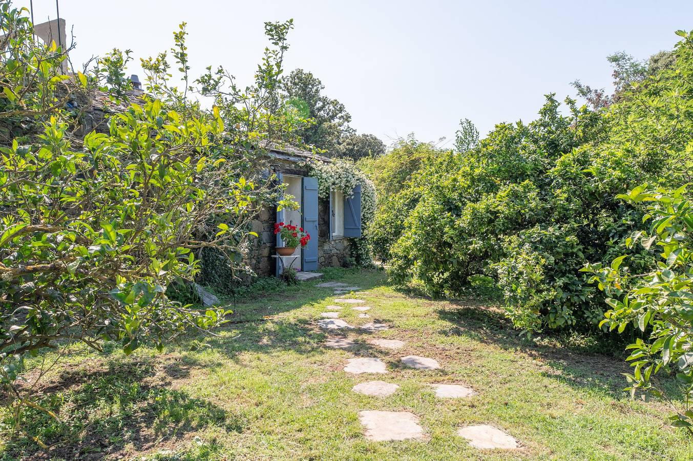Ferienhaus 'L'olettese' mit Bergblick, Wlan und Klimaanlage in Oletta, Calvi und Umgebung