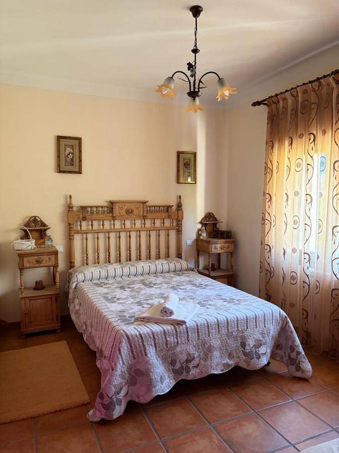 Casa de vacaciones para 17 personas, con Balcón y Terraza además de Jardín y Vistas en Ribera del Duero - 4