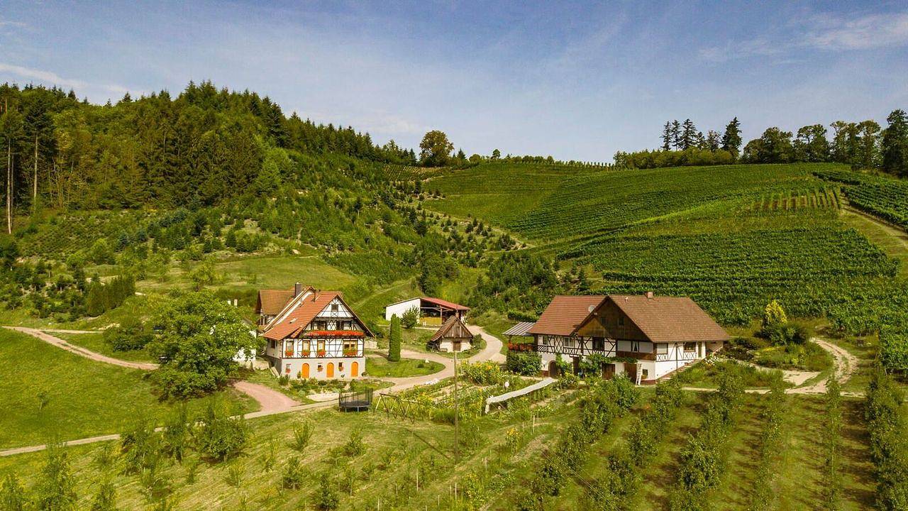 Ganze Ferienwohnung, Ferienwohnung für 4 Personen (70 m²) in Oberkirch in Oberkirch, Mittlerer Schwarzwald