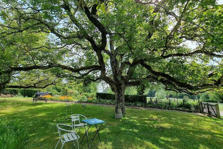 Location de vacances pour 4 personnes, avec jardin et vue à Mennetou-sur-Cher - 4