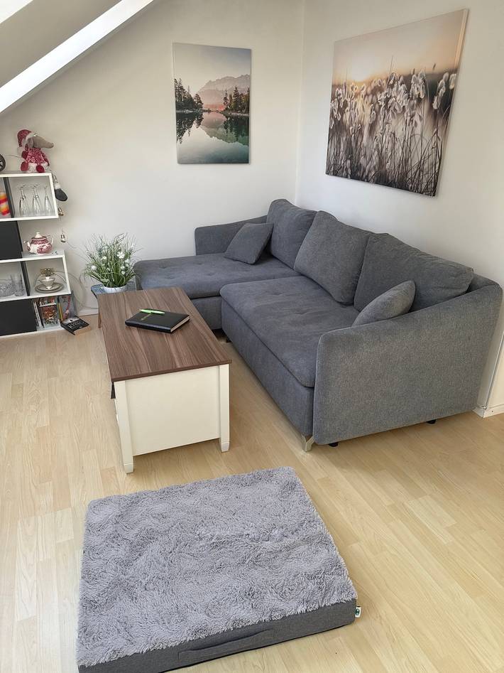 Ferienwohnung für 4 Personen, mit Garten, mit Haustier in Villingen-Schwenningen - 2