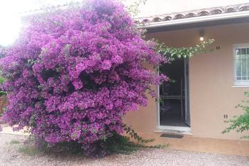 Location de vacances pour 9 personnes, avec terrasse et jardin à Bastelicaccia