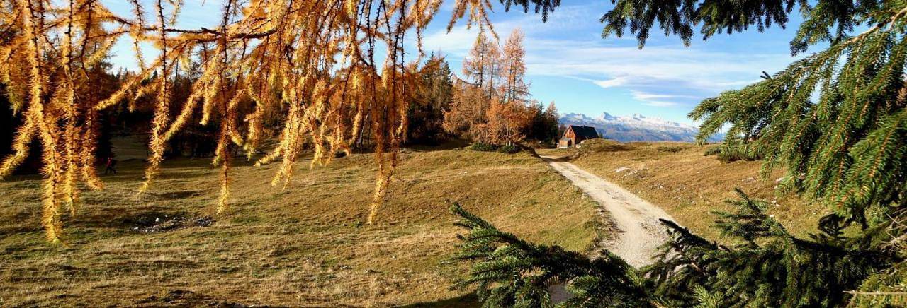 Schermerhütten in Tauplitz, Totes Gebirge