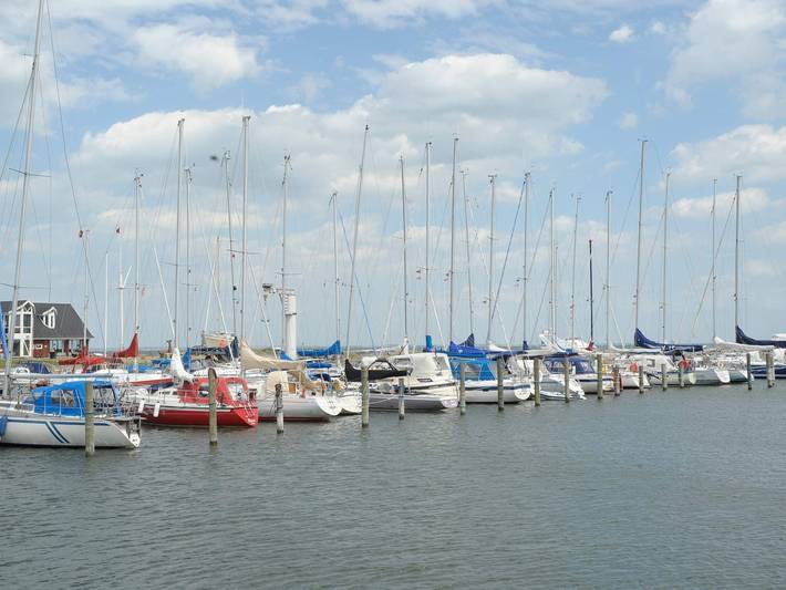 Ferienpark für 5 Personen, mit Terrasse und Pool in Dänemark - 4