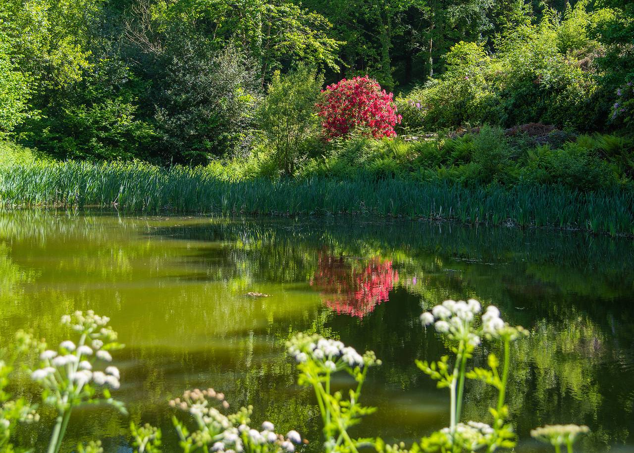 Hunters Lodge in Devon