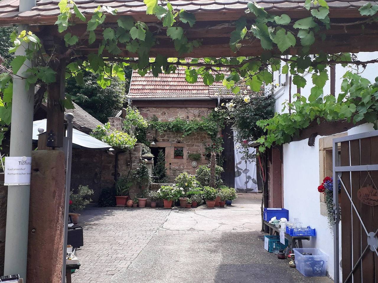 Ganze Ferienwohnung, Appartement Kastanienhof - Appartement/Fewo, Dusche, Wc, Nichtraucher in Dörrenbach, Südliche Weinstraße