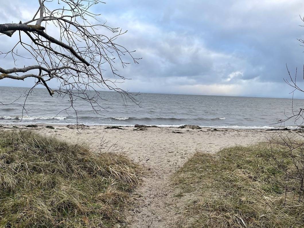 Ganze Ferienwohnung, Strandperle 1 in Loissin, Vorpommern Greifswald