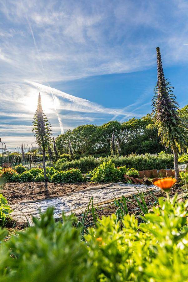 Hôtel pour 2 personnes, avec jardin ainsi que vue et piscine dans Îles Anglo-Normandes - 3
