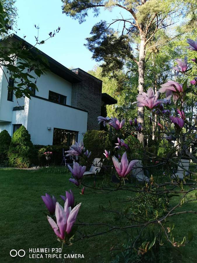 Location de vacances pour 6 personnes, avec piscine et jacuzzi ainsi que jardin et sauna, adapté aux familles à Tallinn - 4