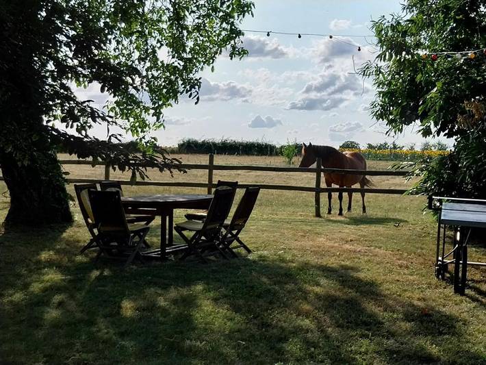 Maison de vacances pour 6 personnes, avec piscine ainsi que jardin et vue - 1