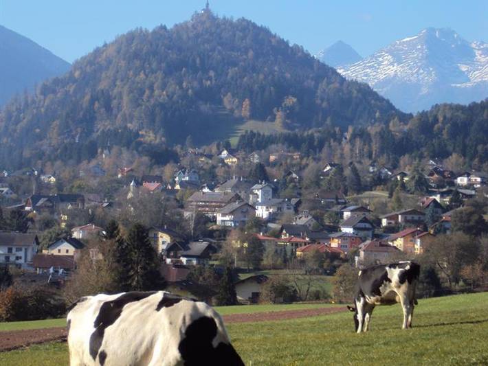 Ferienwohnung für 5 Personen, mit Garten in Lieser-Maltatal - 3