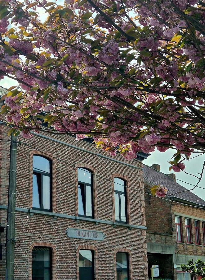 Location de vacances pour 16 personnes, avec vue et jardin ainsi que terrasse et piscine dans Beveren (Flandre-Orientale) - 2