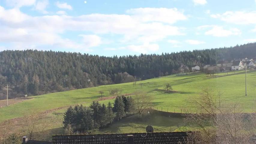 Ferienwohnung für 4 Personen, mit Garten, mit Haustier in Rengsdorf-Waldbreitbach - 2