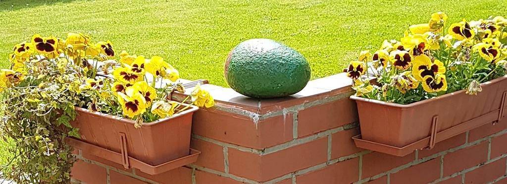 Ferienhaus für 2 Personen, mit Garten, mit Haustier in der Lüneburger Heide - 2