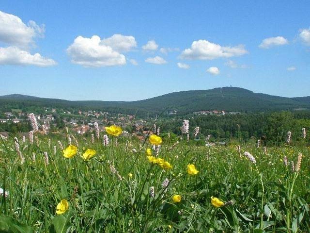 BnB für 2 Personen, mit Terrasse und Garten sowie Ausblick in Braunlage