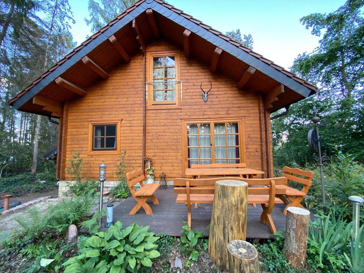 Waldhaus Eichhörnchen in Bad Schmiedeberg, Dübener Heide